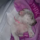 Ryleigh Payge
