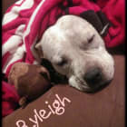 Ryleigh Payge