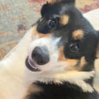 Jax