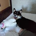 Jax