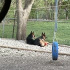 Fritz and Schultz