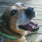 Molly