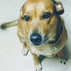 Molly