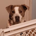 Roxy