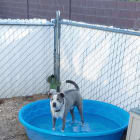 Roxy