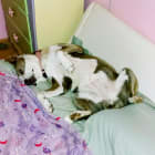 Roxy