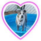 Roxy