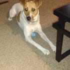 Yuki