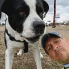 Petey