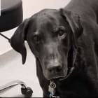 Benny