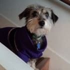 Tilly