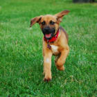 Mitsy