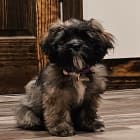 Roscoe