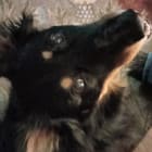 Fidget