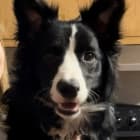 Marley