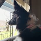 Marley