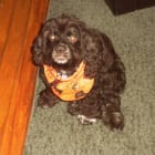 Molly