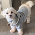 Mia