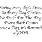 Girls of Dog Rescue