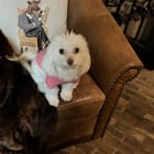 Izzy and Ruthie
