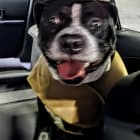 Lito aka Wedo