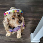Charlotte