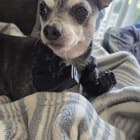 Frito
