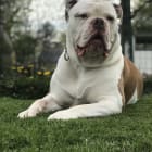 George