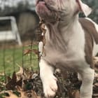 George