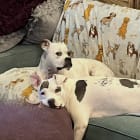 Isabelle and Ruthie
