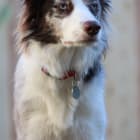 Zoey
