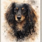 Arnold