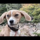 Polly-Quanah