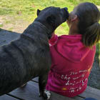 Sunrise Farm Animal Sanctuary