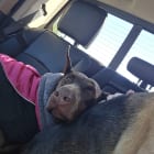 Sunrise Farm Animal Sanctuary