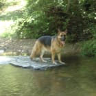 Kika
