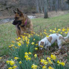 Kika