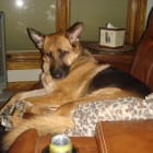 Kika