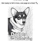 Dodger the Wonder Dog