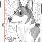Dodger the Wonder Dog