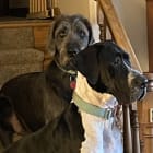 Winston and Daisy