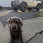 Sarge Major Skye
