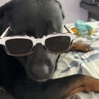 Rocco