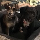 Arlo_Ellie