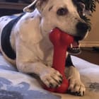 DaisyMae