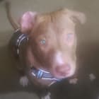 Charlie