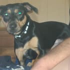Charlie