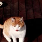 Sammy and Sula