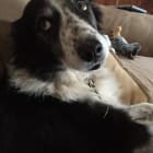 Rikki