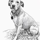 Remi